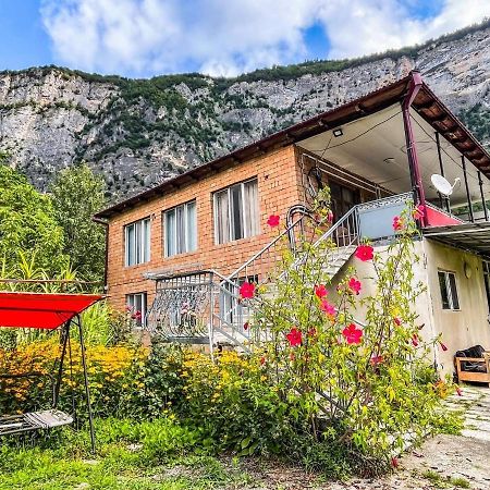 Guest House Oasis - Tvishi Dış mekan fotoğraf