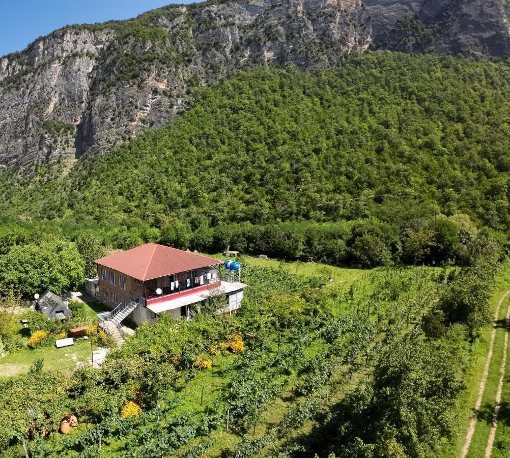 Guest House Oasis - Tvishi Dış mekan fotoğraf