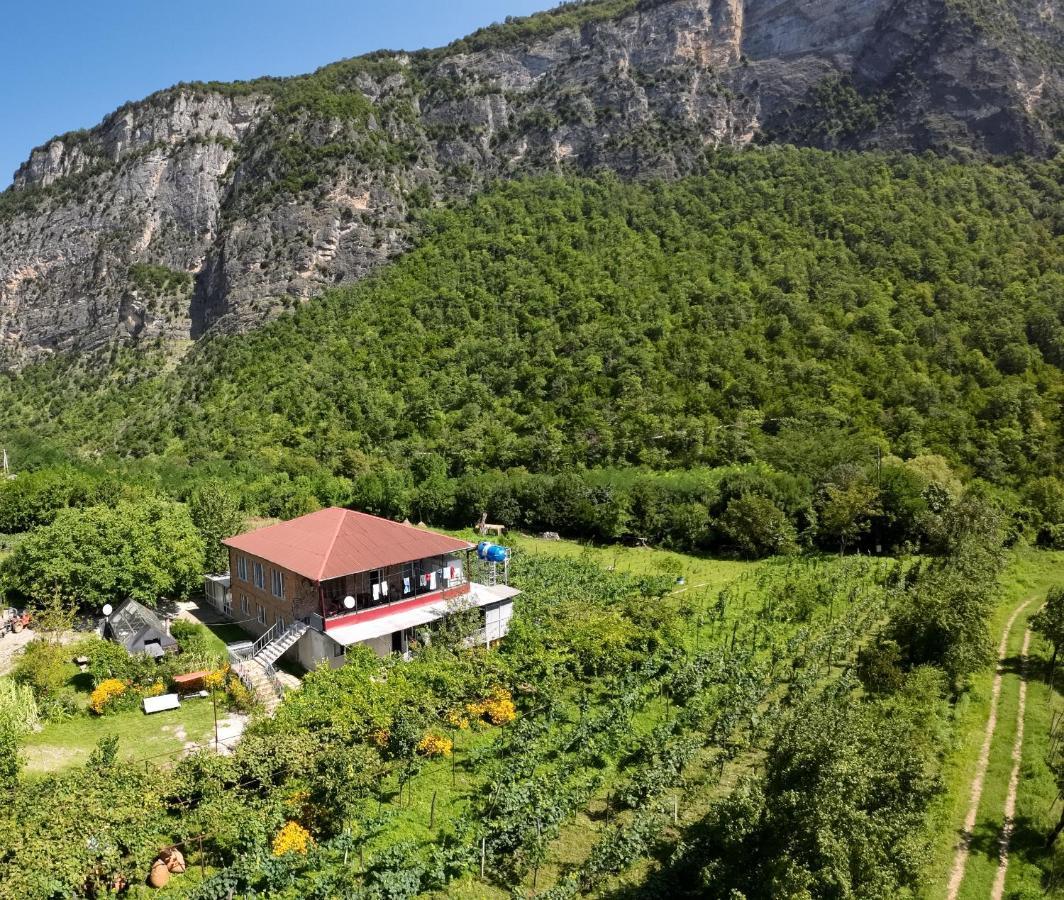 Guest House Oasis - Tvishi Dış mekan fotoğraf